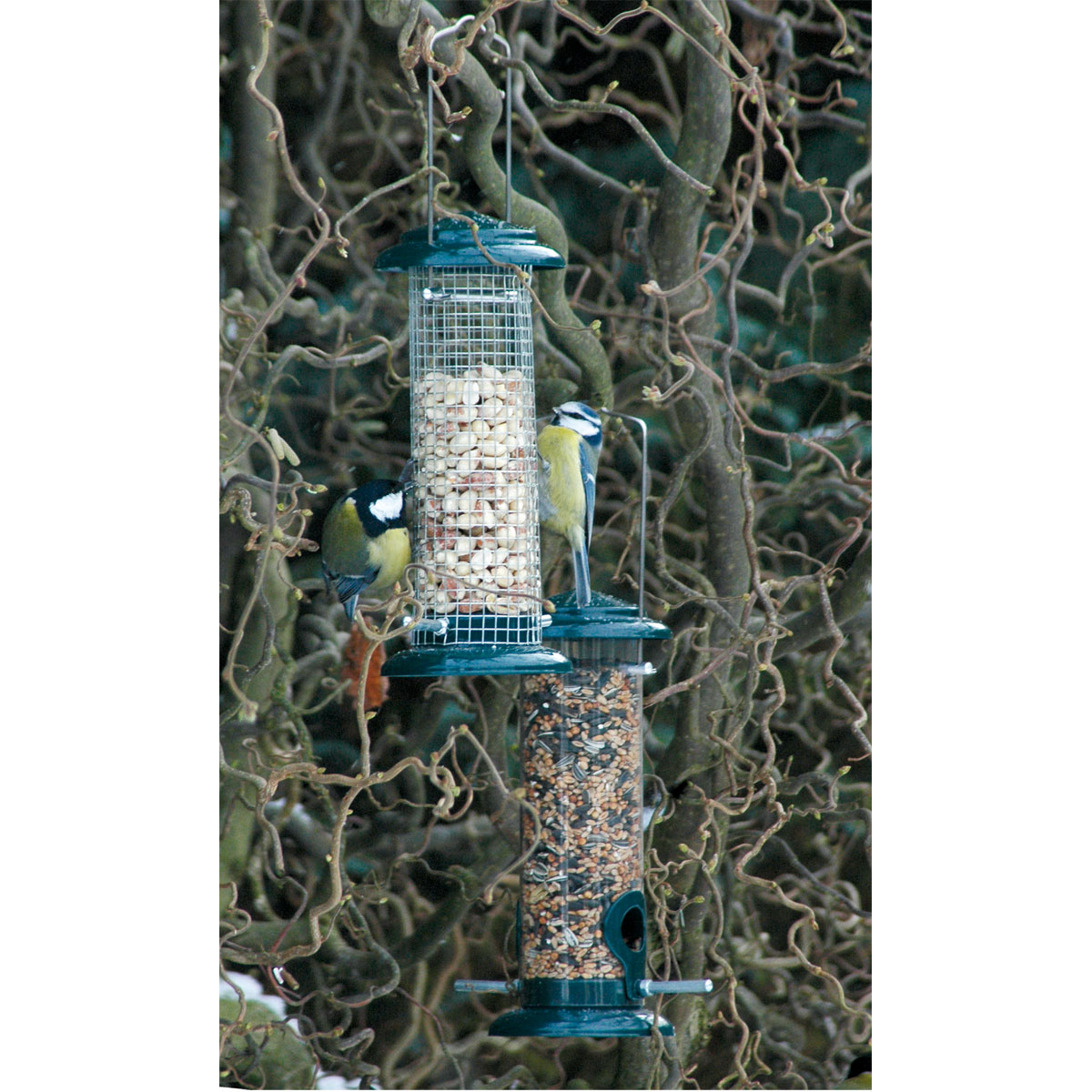 Futterspender für Nüsse und Kerne 9,5 x 9,5 x 23 cm Metall Grün Bild 10