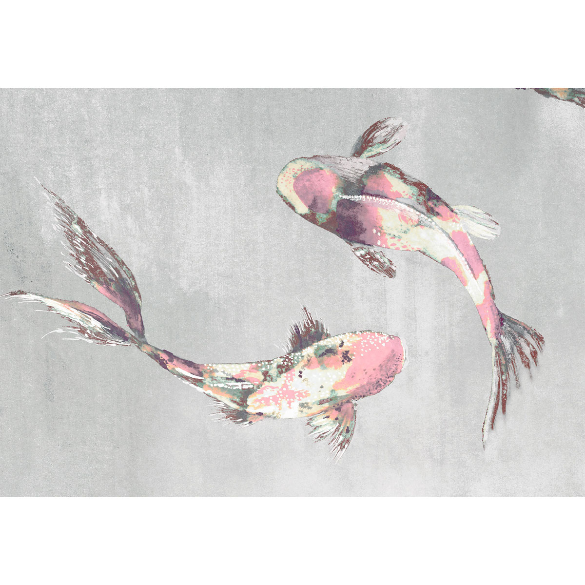 Komar  Vlies Fototapete Koi 300x280 cm Bild 3