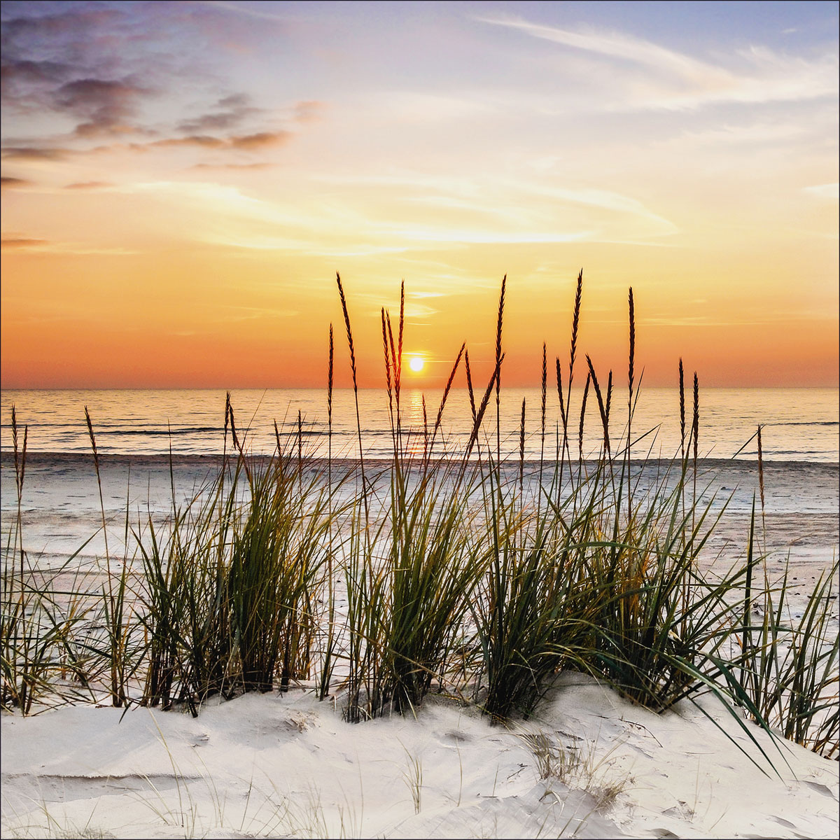 Canvas-Art Lonely Dune 30 x 30 cm