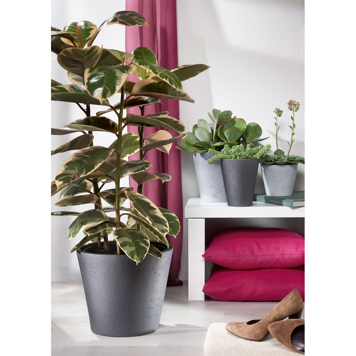 Scheurich Übertopf 701 24 cm dark stone Bild 2