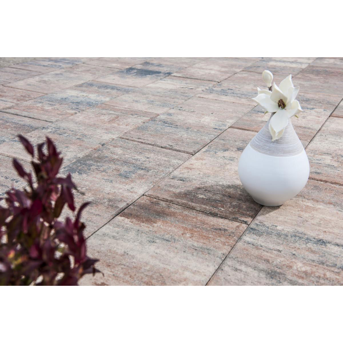 Diephaus  Terrassenplatte No 1 Nature 60 x 30 x 4 cm Muschelbeige Bild 4