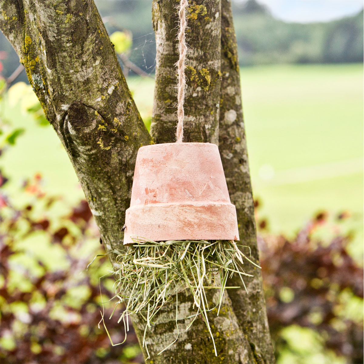 Windhager  Jute-Schnur 1,5 mm x 170 m Bild 2