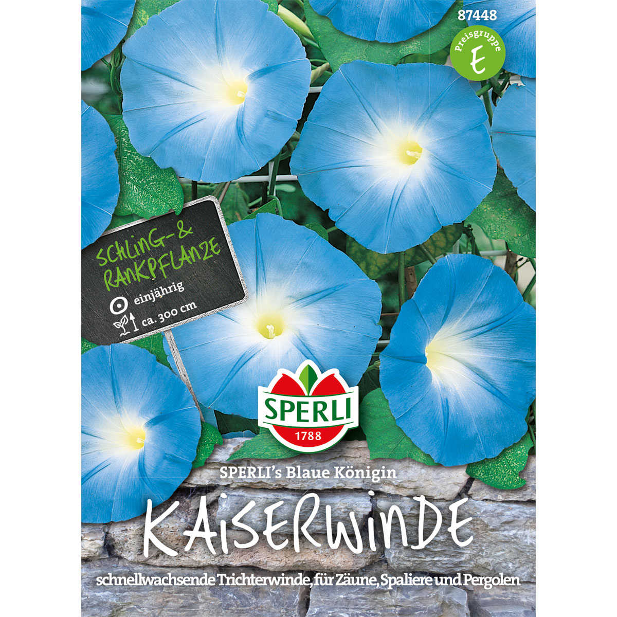 Sperli Prunkwinden ngs Blaue Königin