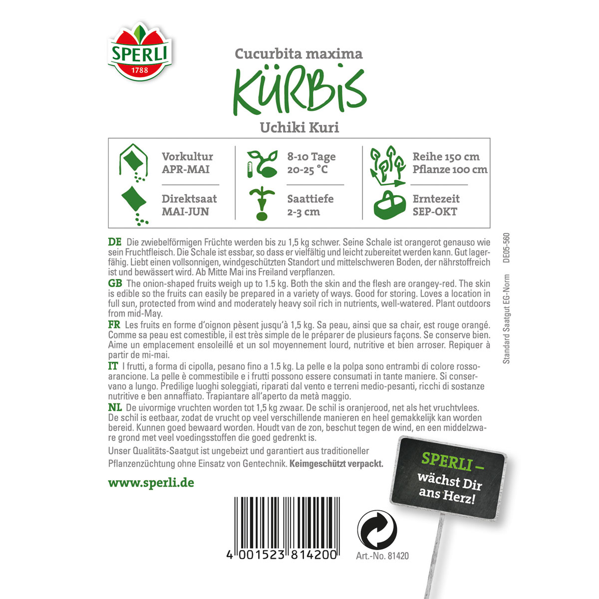 Sperli Kürbis Uchiki Kuri Bild 2