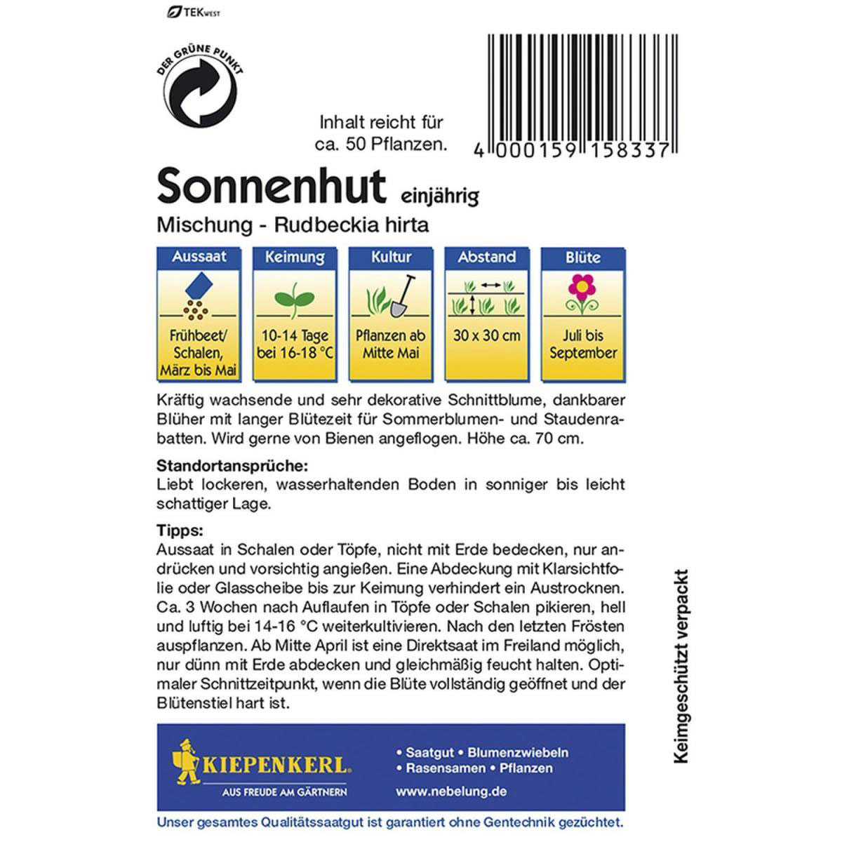 Kiepenkerl Sonnenhut Mischung Bild 2
