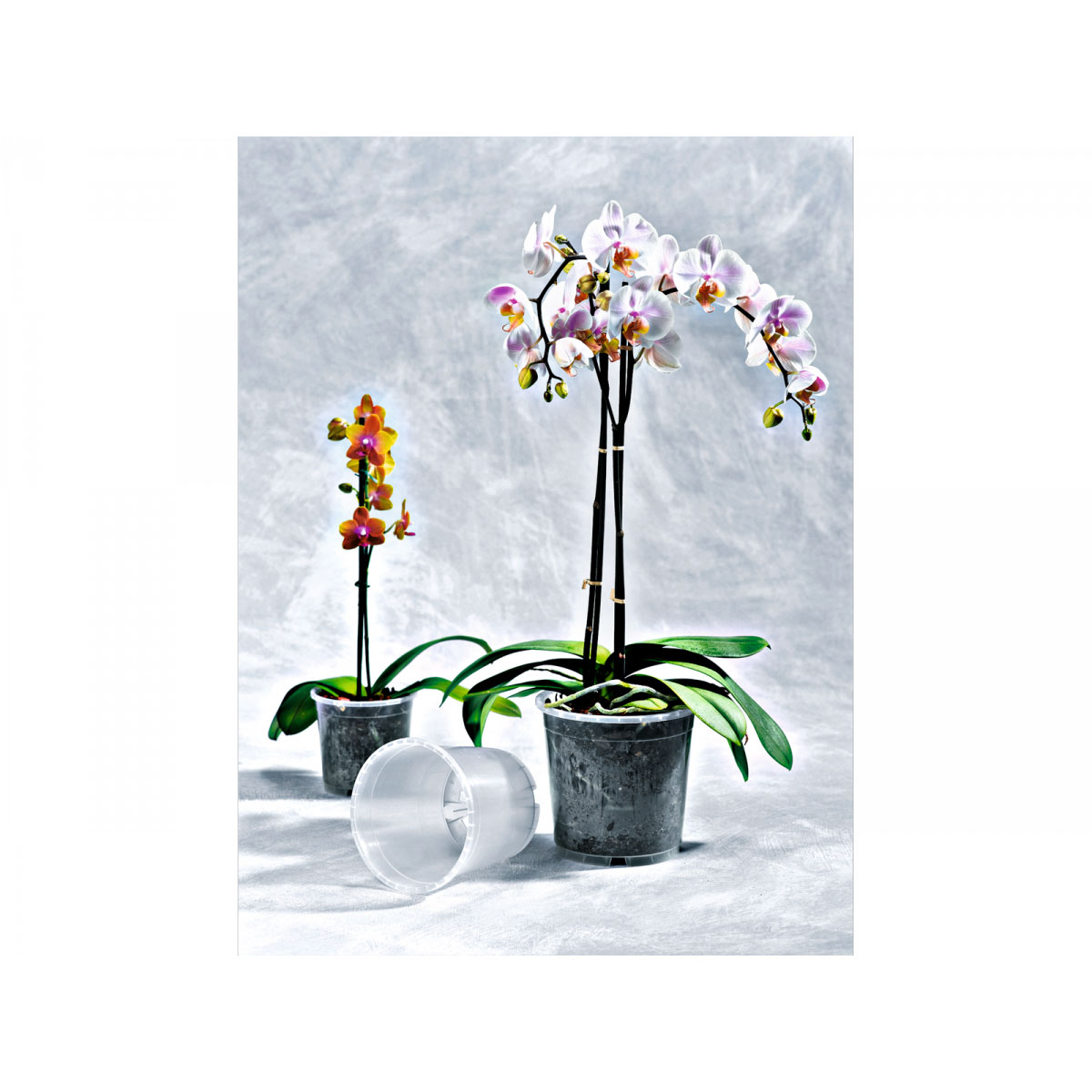 Orchideen-Kulturtöpfe