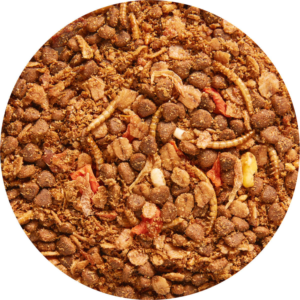 Vitakraft Igelfutter Premium Menu trocken 2,5 kg Bild 2