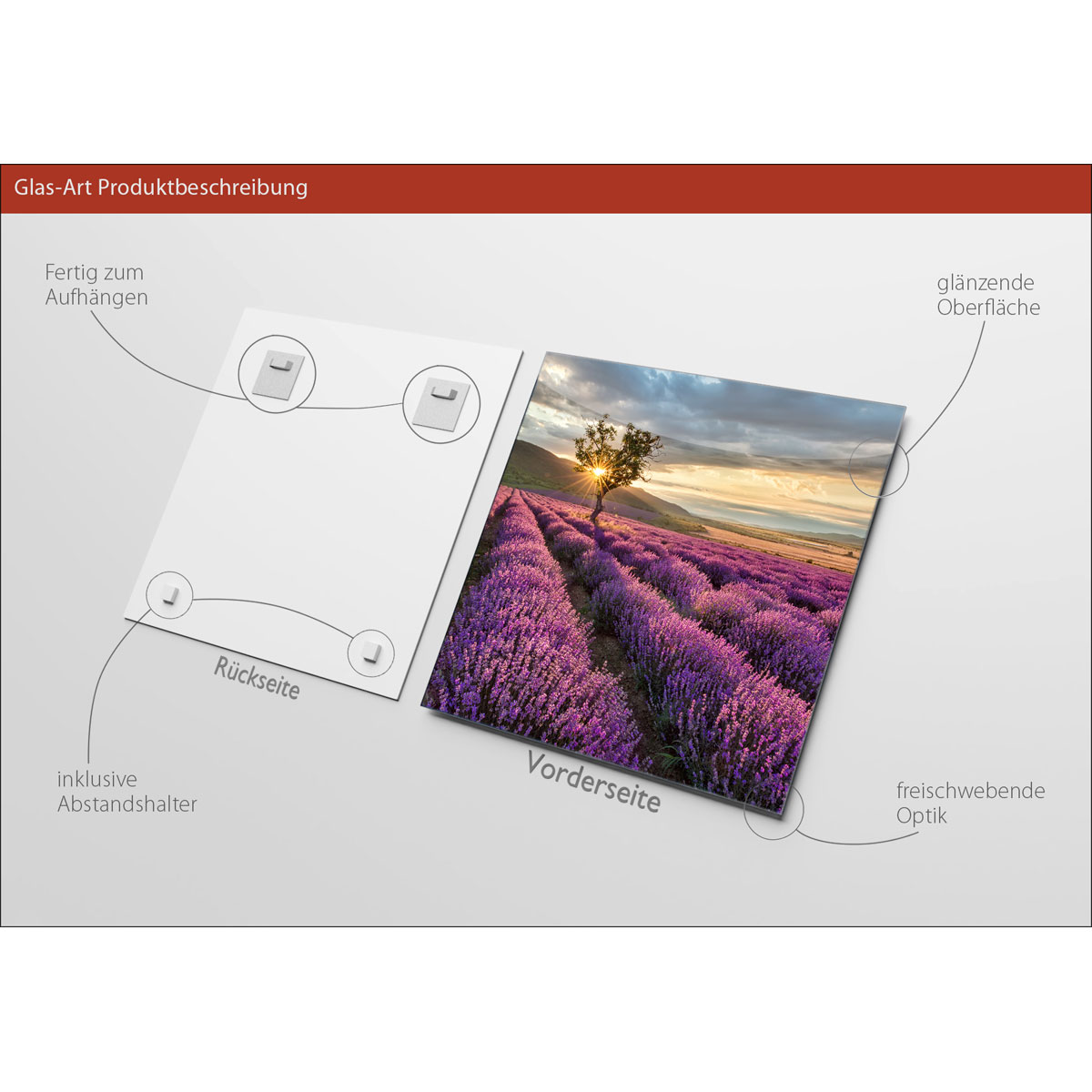 Glas-Art Silence 50 x 50 Glasbild Bild 3