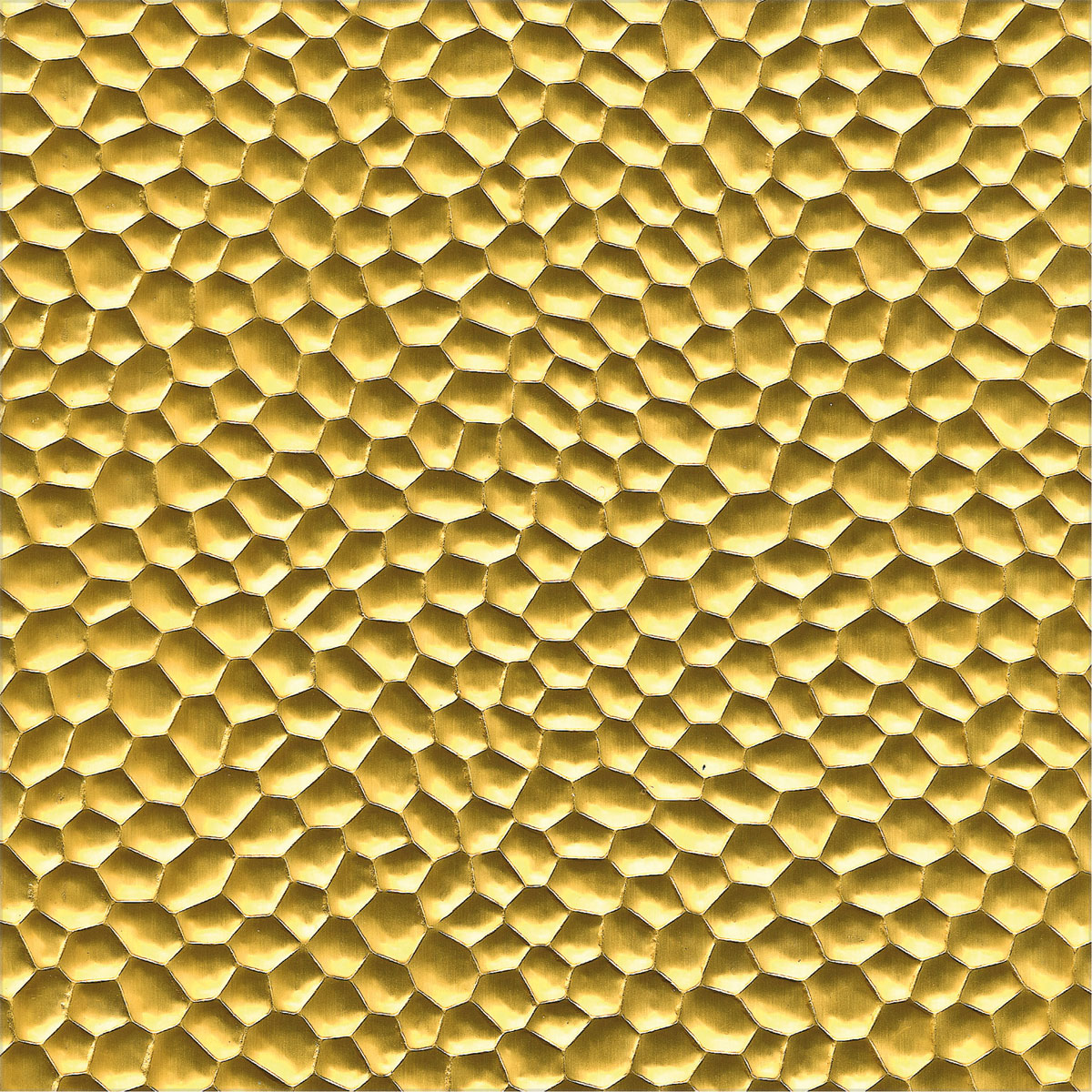 MyTool Hammerschlagblech 12 x 100 mm messing