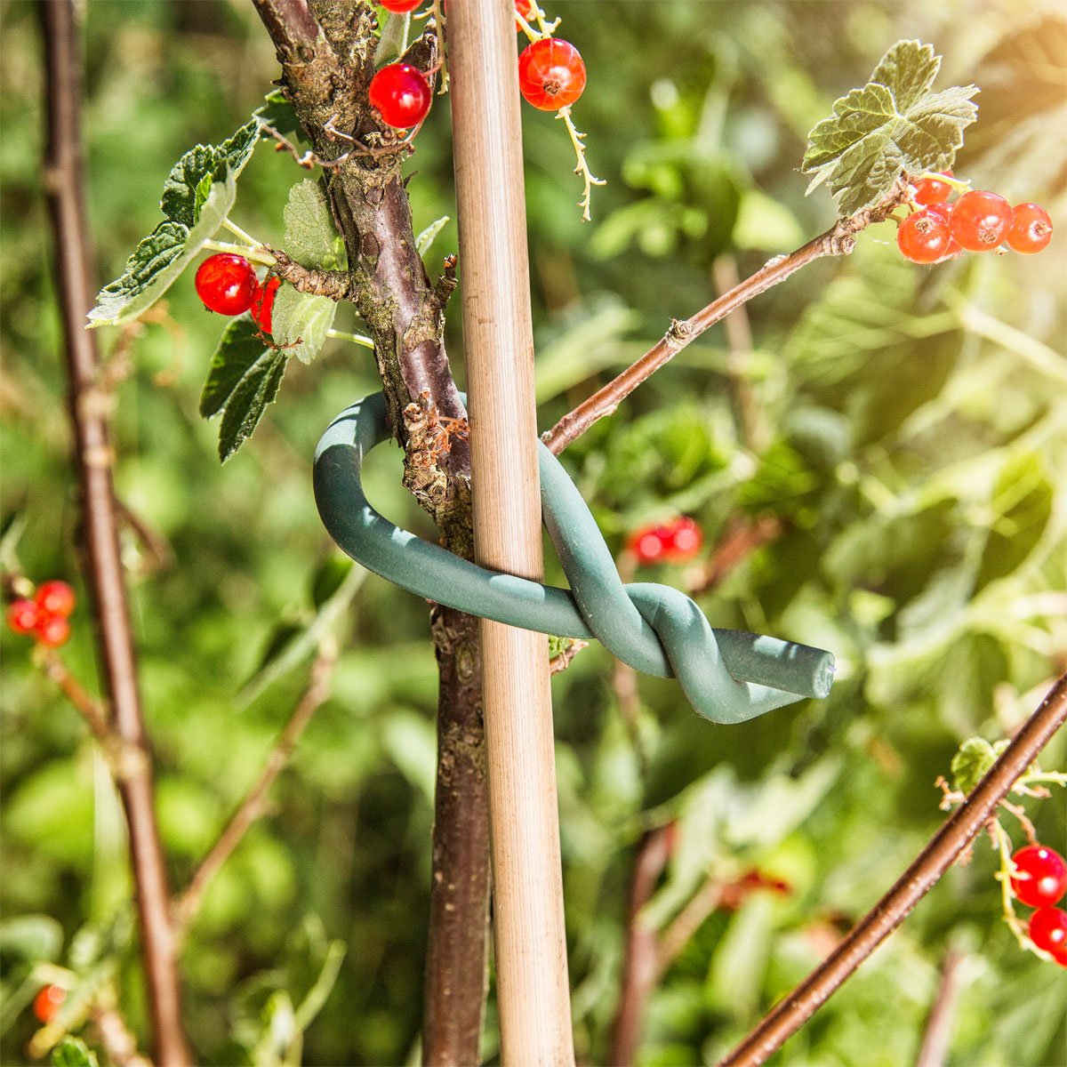 Windhager Gartendraht mit Gummimantel 5 m Bild 2