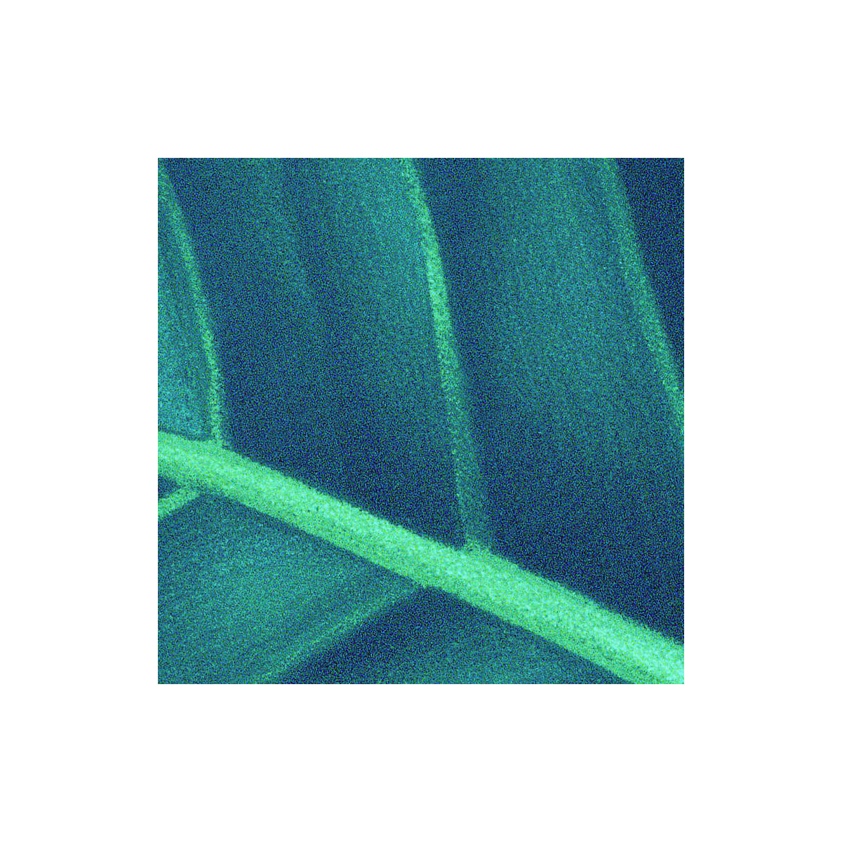 Komar  Vlies Fototapete Foliage 200x250 cm Bild 5