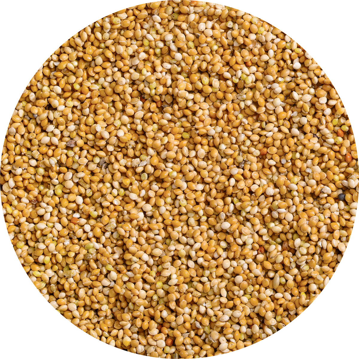 Vitakraft  Honig-Perlen 20g Sittich Beutel Bild 3