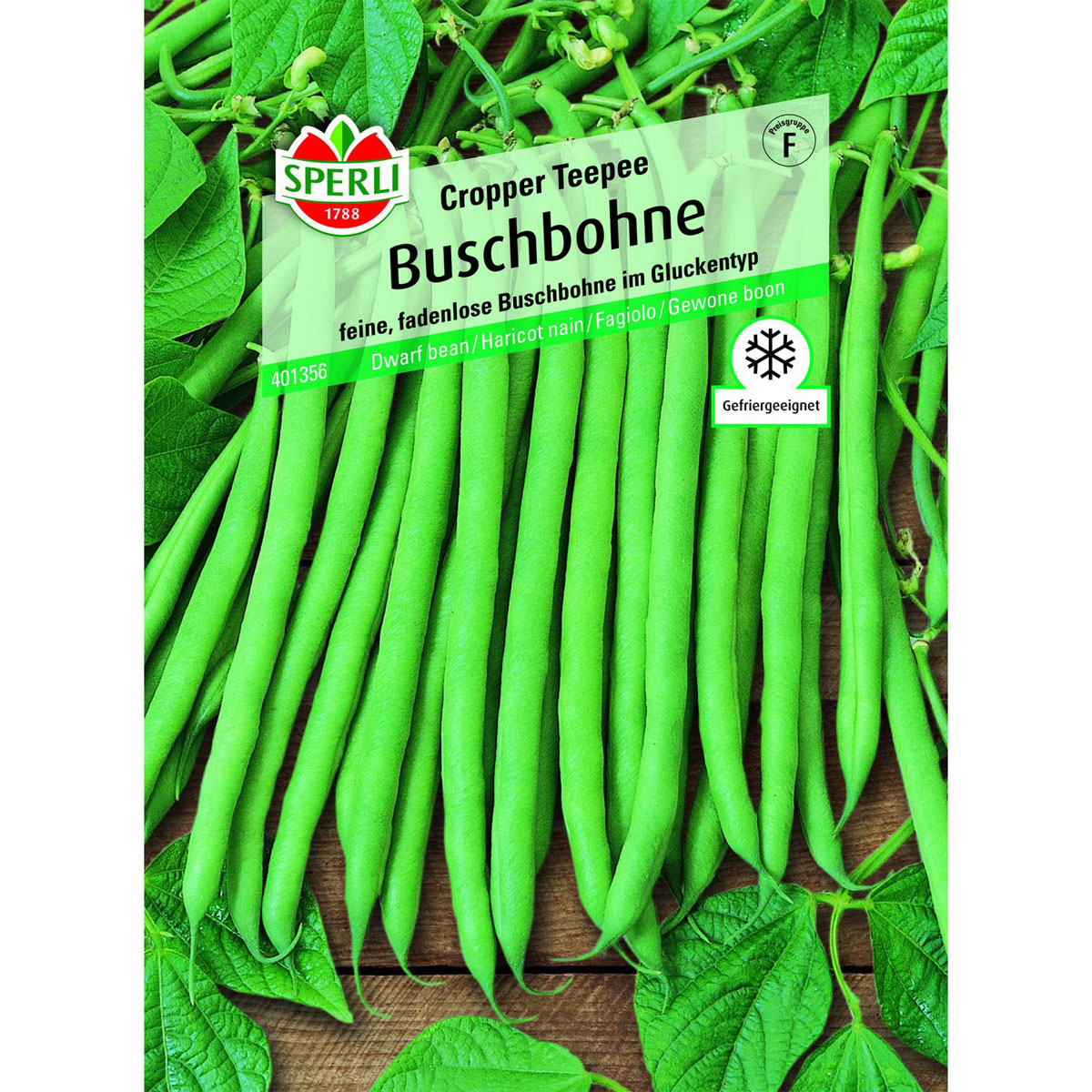 Buschbohne Cropper Teepee Bild 1