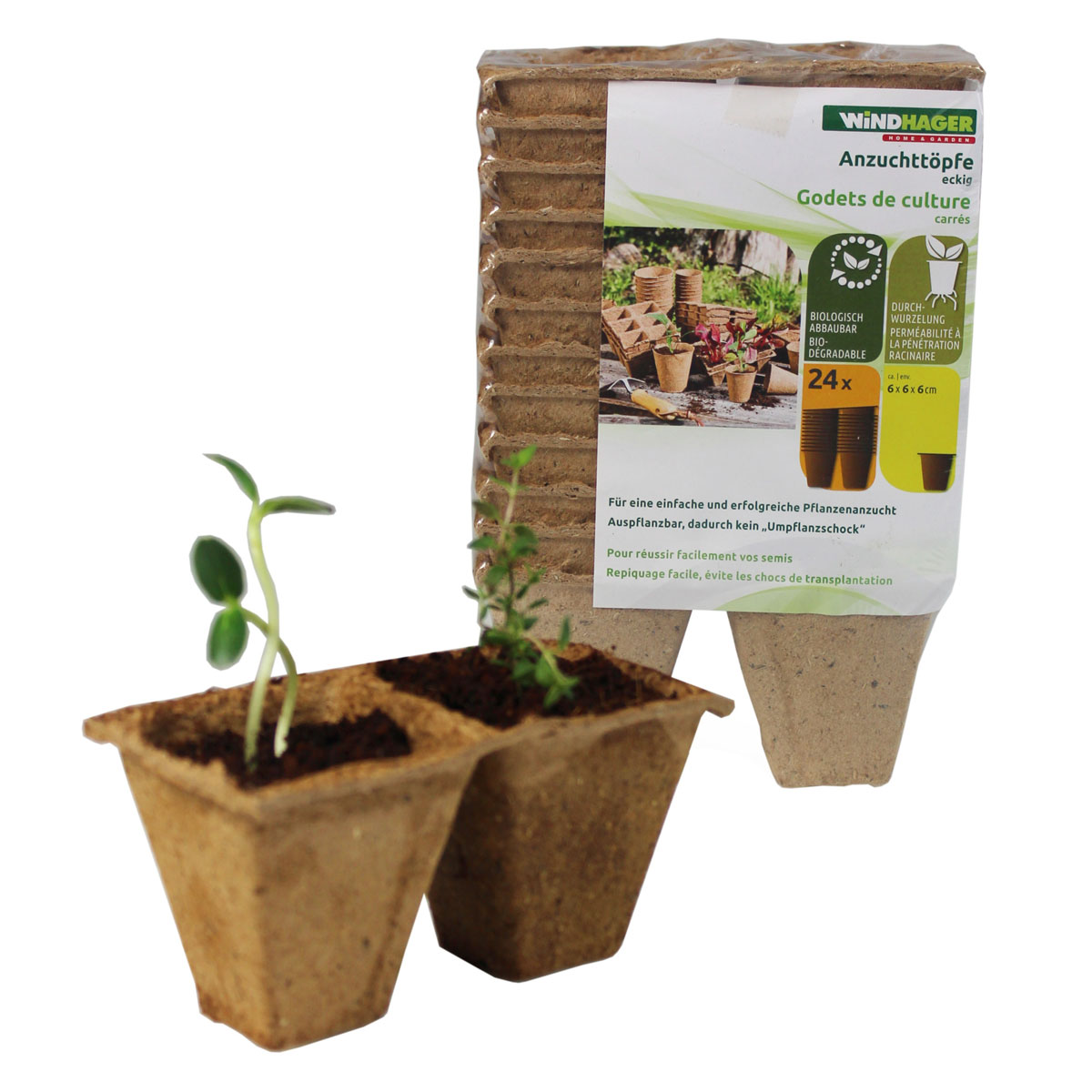 Windhager  Torf-Anzuchttöpfe 4 cm Bild 3