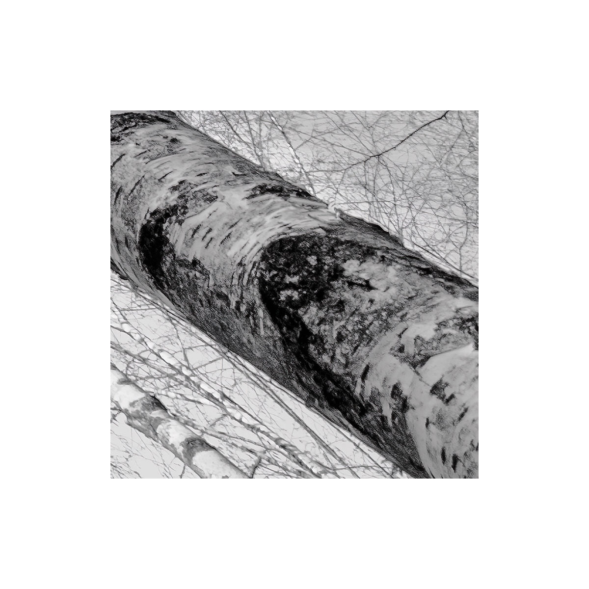 Komar  Vlies Fototapete Weiss-Blau 450x280 cm Bild 7