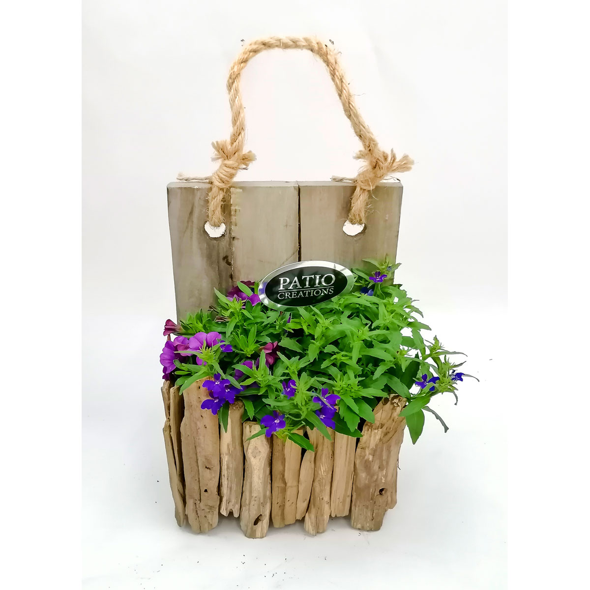 Plantiflor  Bepflanztes Gefäß 20 x 12 cm Wandhänger