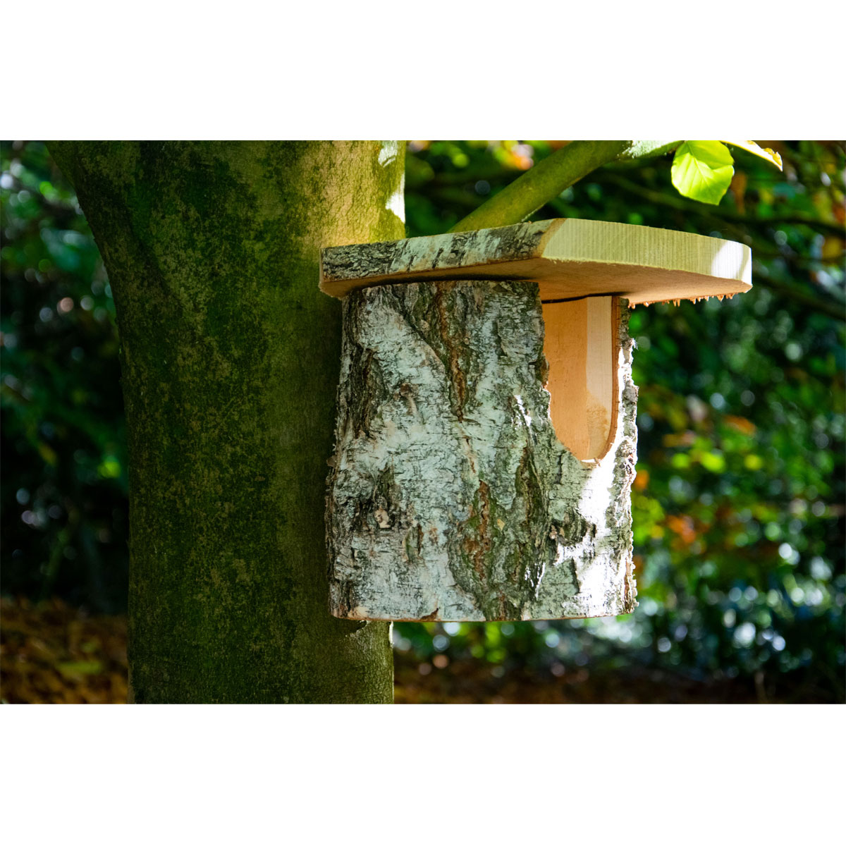 Nistkasten 14 x 22 x 24 cm Birkenaturbelassen Bild 5