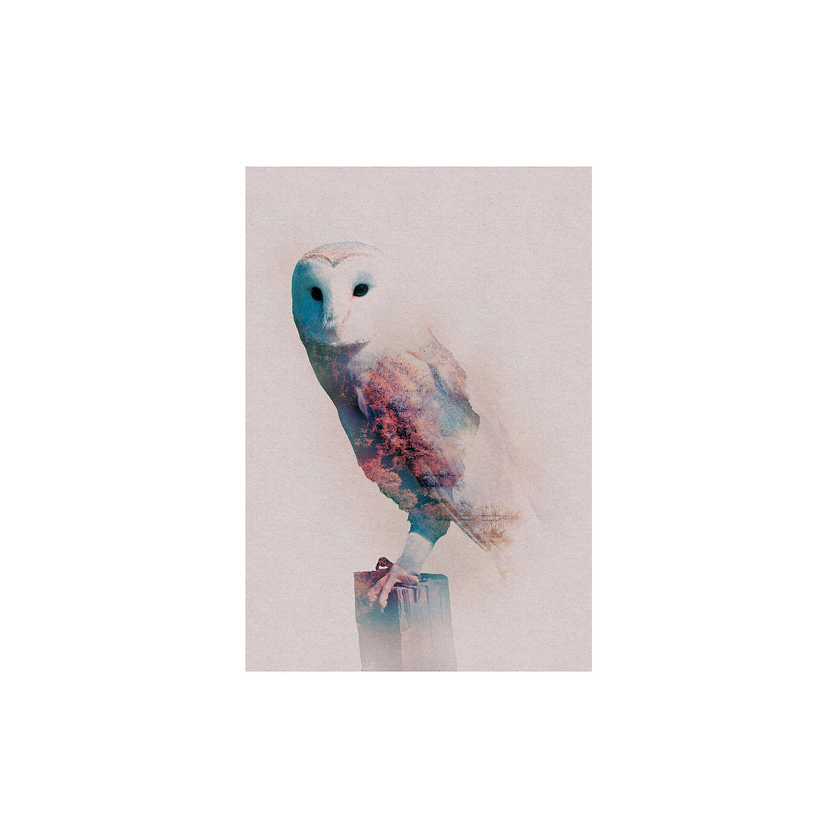 Komar  Wandbild Animals Forest Owl 50x70 cm Bild 2