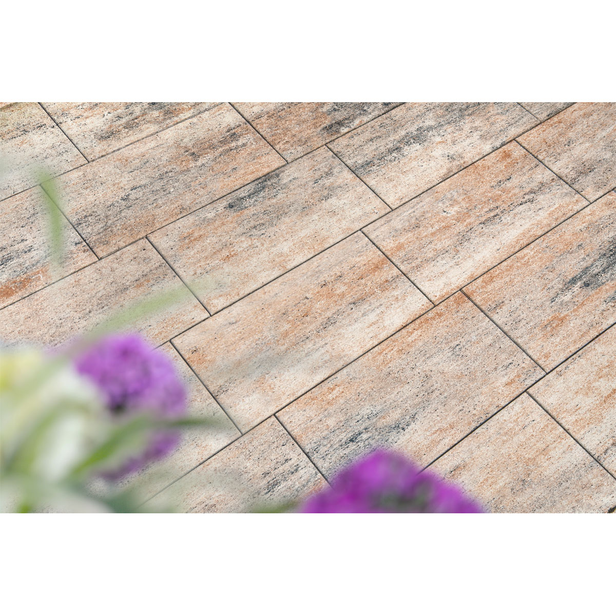 Terrassenplatte „No. 1 Nature“, Muschelkalk, 60x60x4cm Bild 3