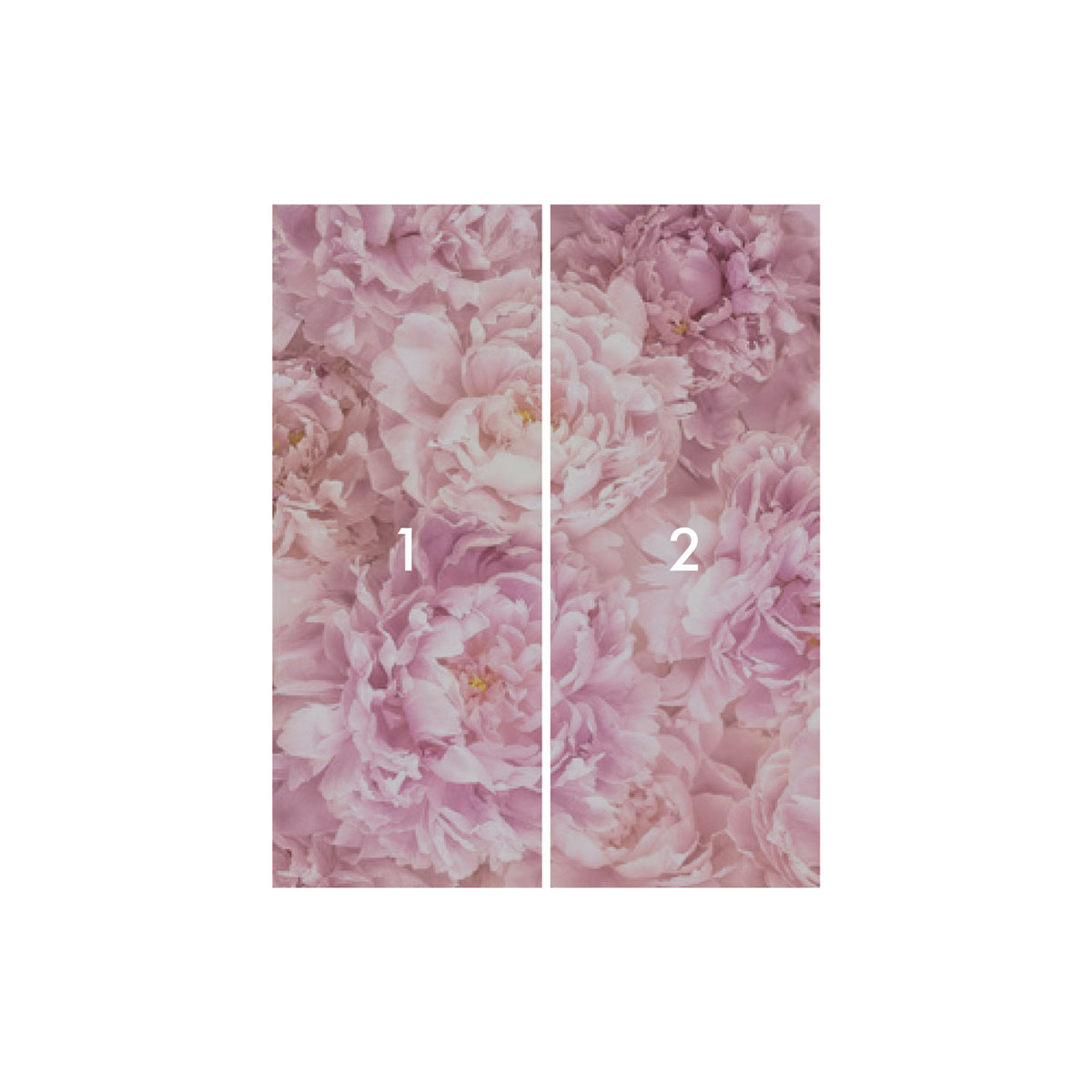 Komar  Vlies Fototapete Soave 200x250 cm Bild 3