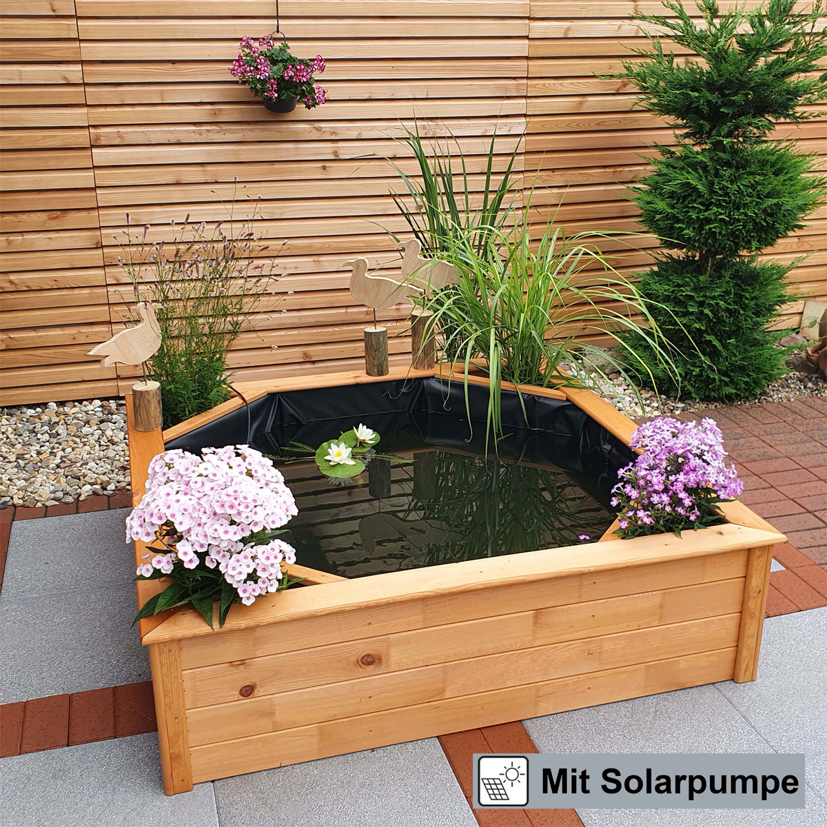 Promadino Hochteich 4 seitliche Pflanzzonen solar Bild 2