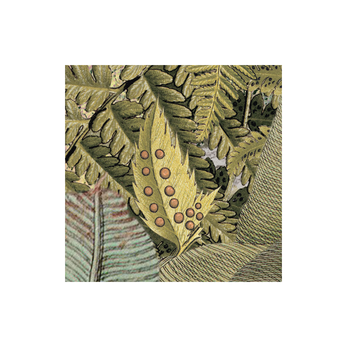 Komar  Vlies Fototapete Amazonia 368x248 cm Bild 7