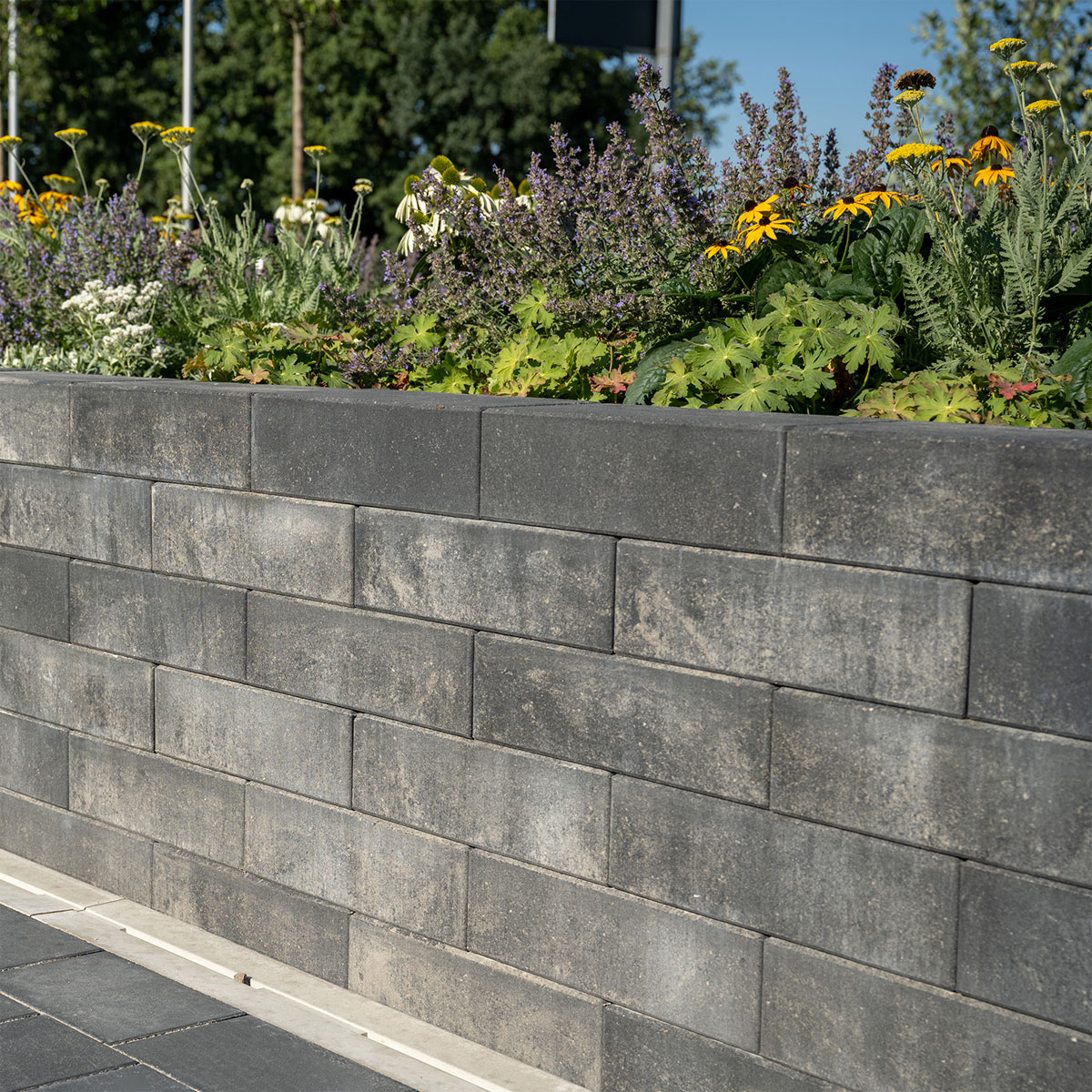 Diephaus  Mauerstein Straight Medio Quarzit 42 x 21 x 12,5 cm Bild 2