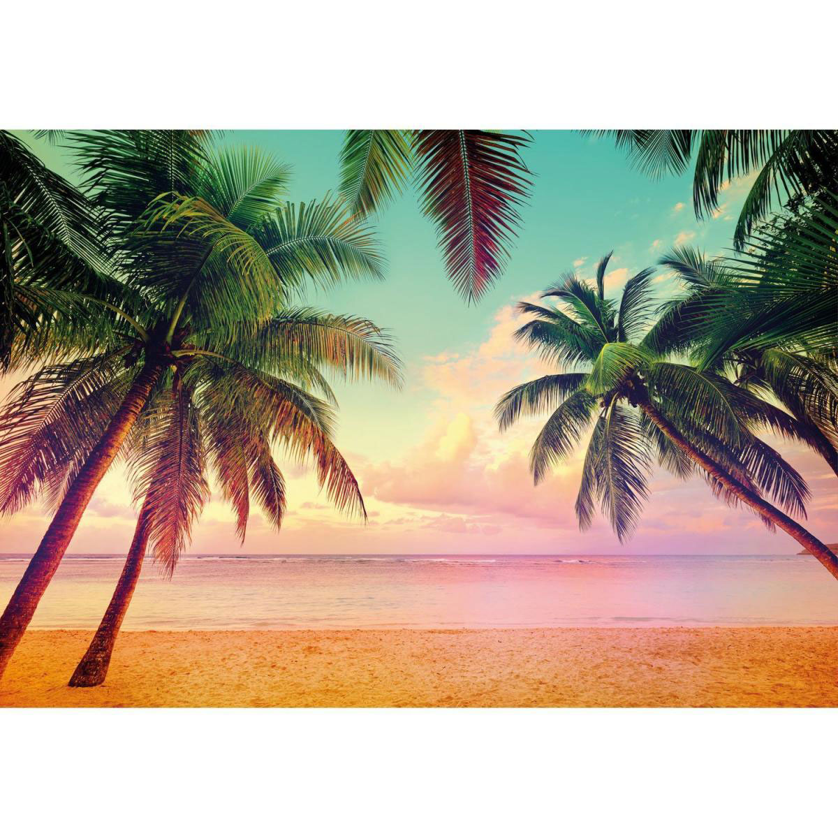 Komar Papier-Fototapete Miami 8-teilig 368 x 254 cm Bild 1