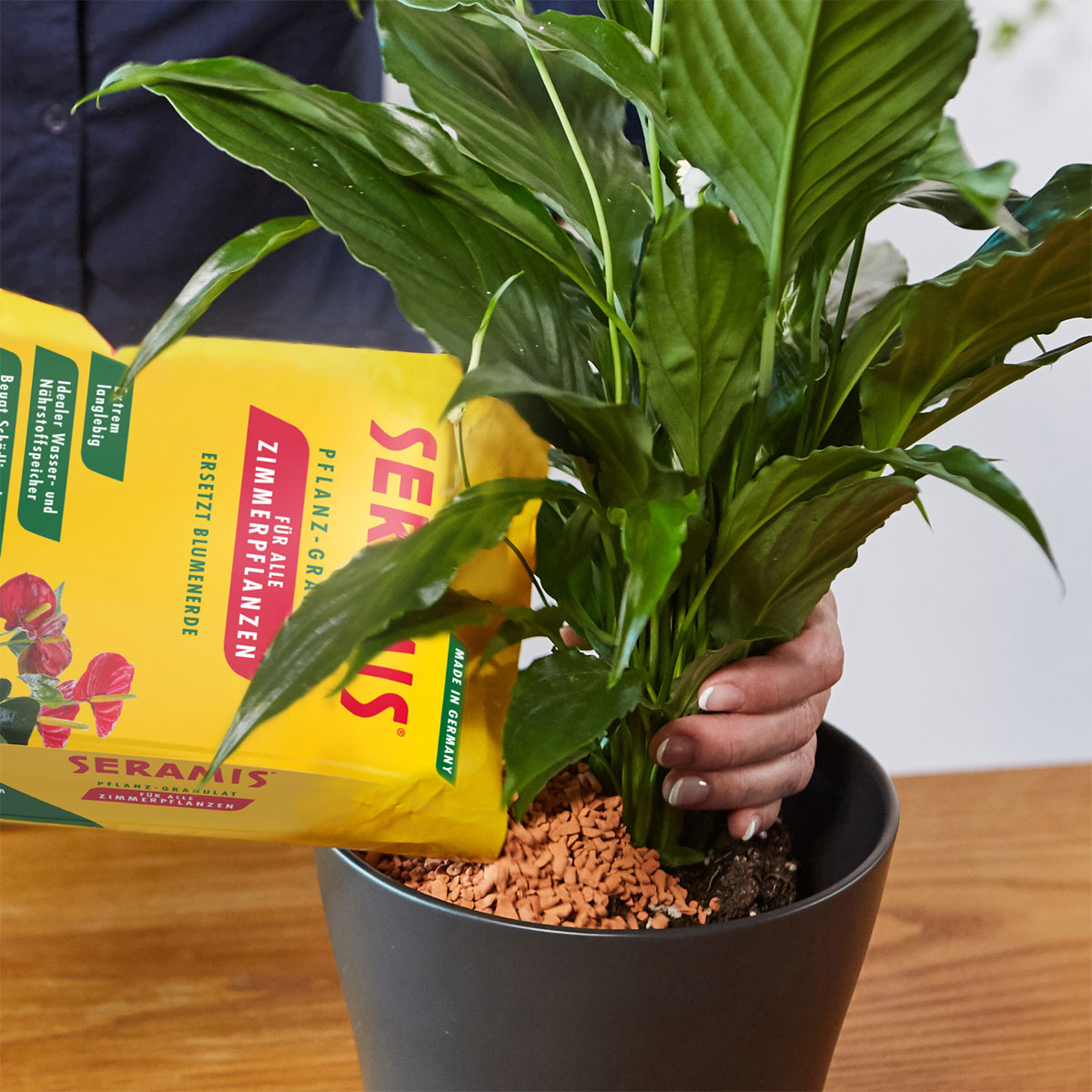 Seramis Pflanzgranulat für Zimmerpflanzen 15 L Bild 5