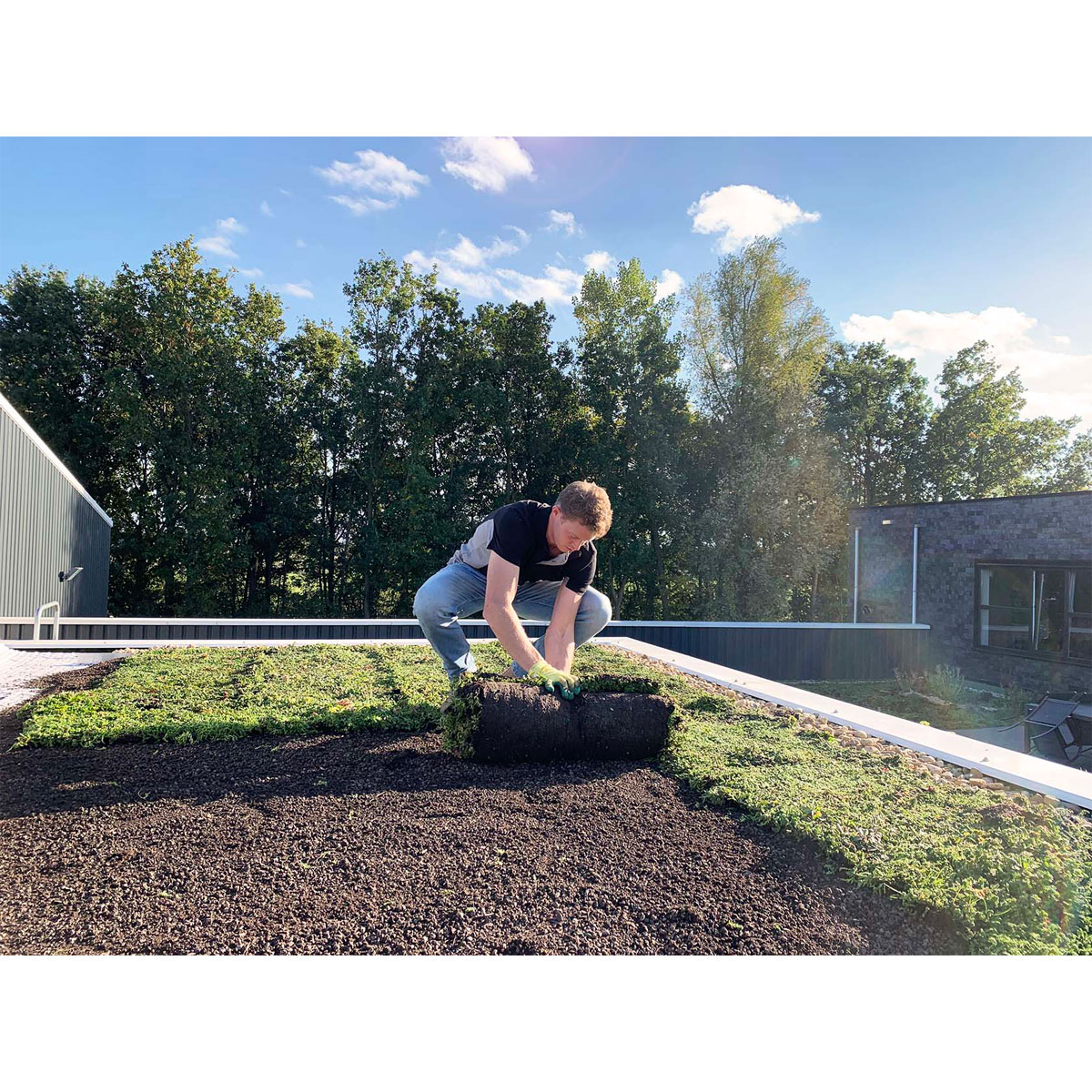 AboutGreen Gründachsystem Flachdach bis 5 Dachneigung 1 m² Bild 2