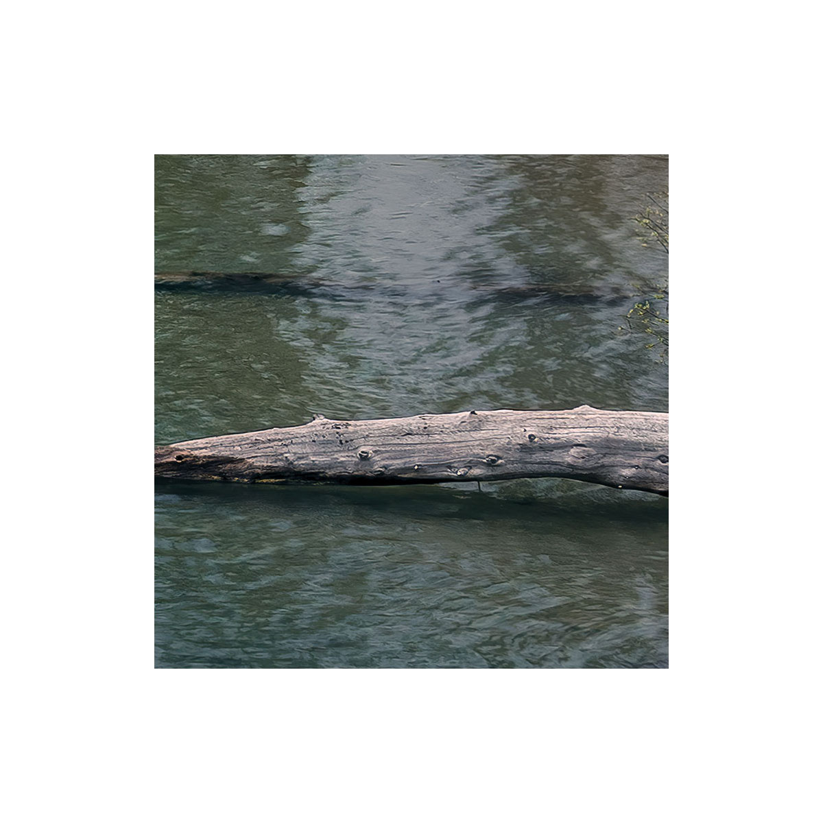 Komar  Vlies Fototapete Spirit Island 450x280 cm Bild 5