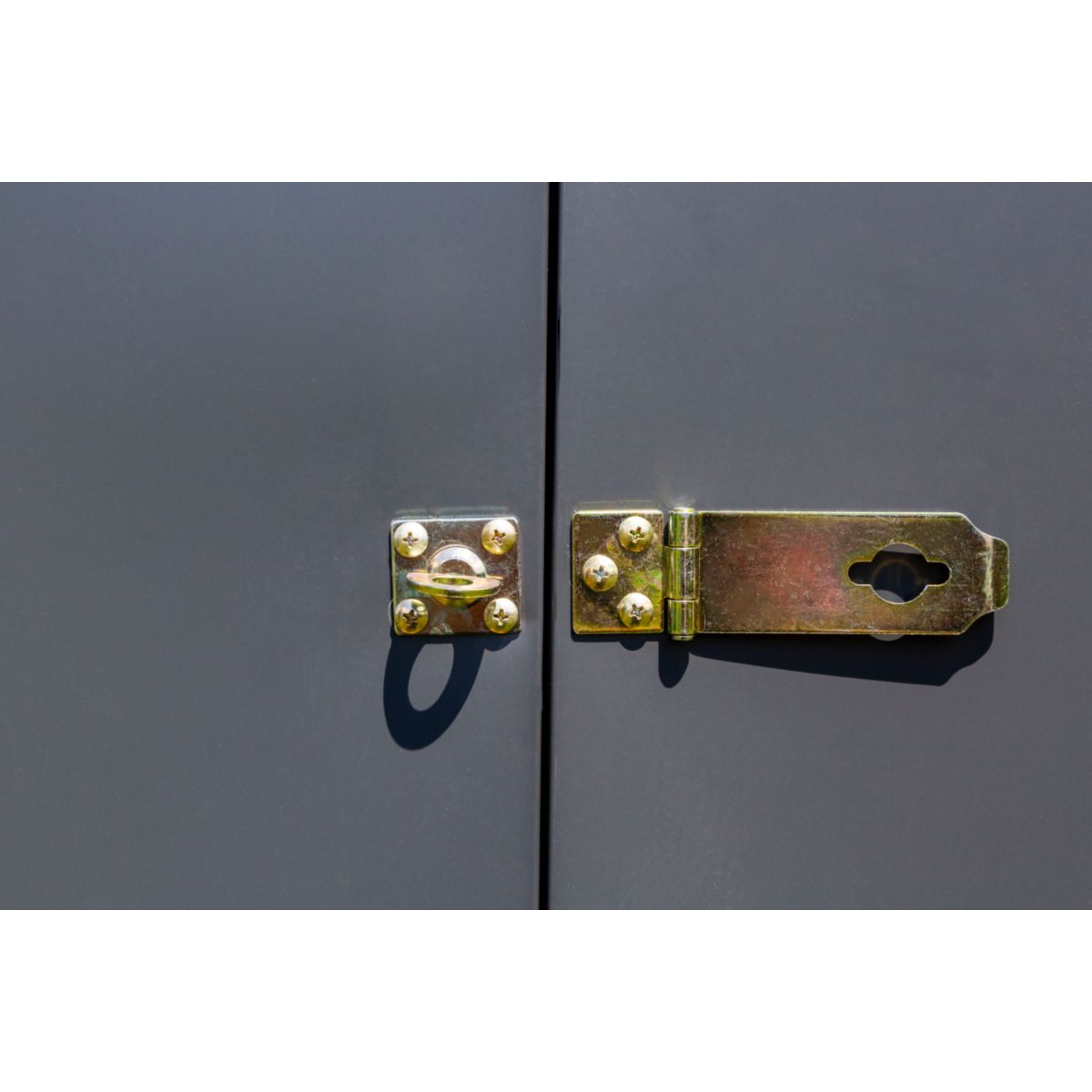 Gerätehaus Spacemaker 47 124x203x208 cm Bild 3