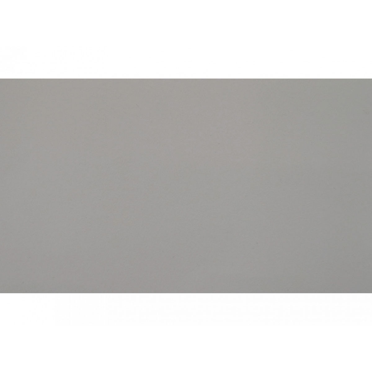 Vincent Renoviervlies