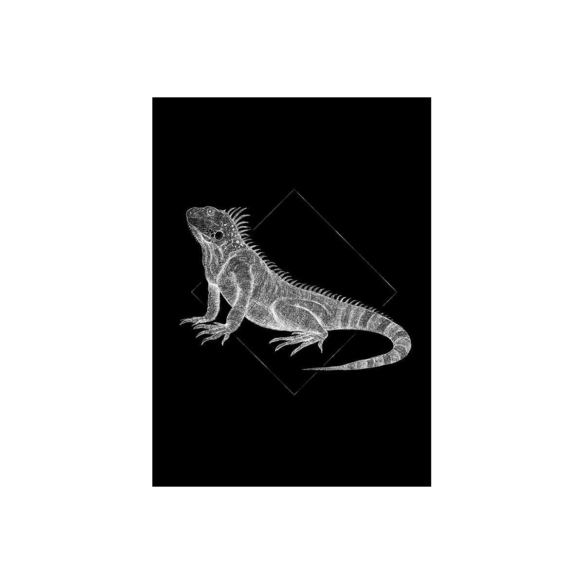 Komar  Wandbild Iguana Black 50x70 cm Bild 2