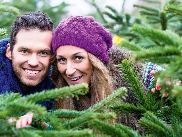 Junges Paar schaut durch Zweige von Tannenbäumen