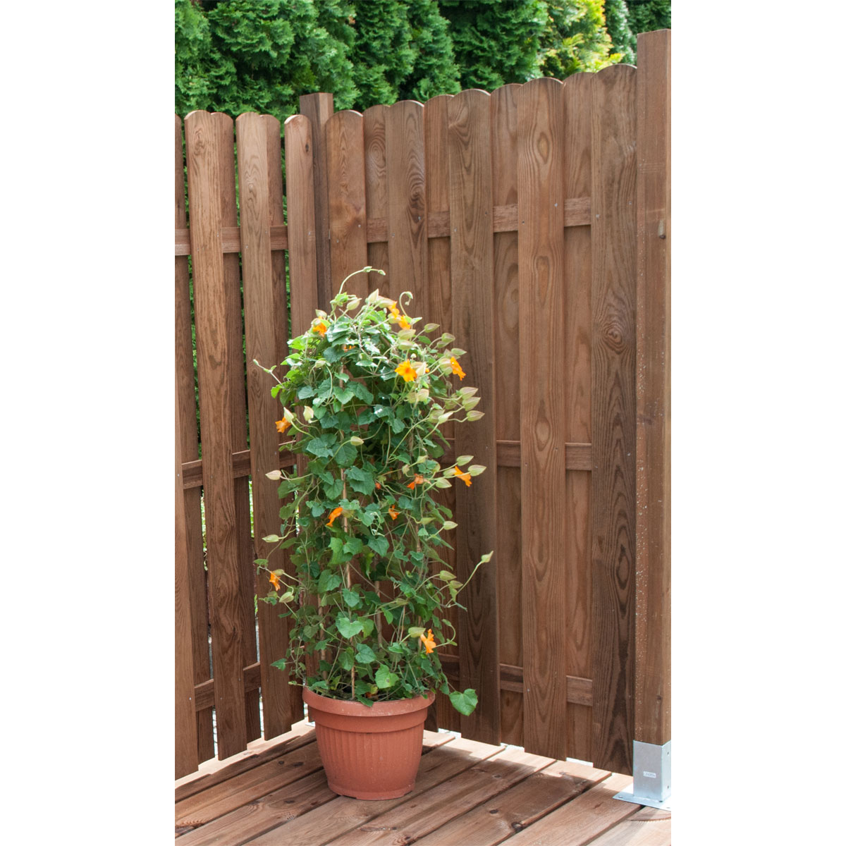 Bretterzaun Sylt 90x180 cm braun Bild 2