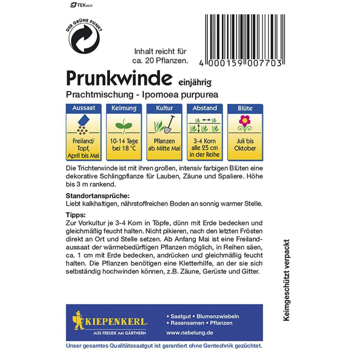 Kiepenkerl Prunkwinde Prachtmischung Bild 2