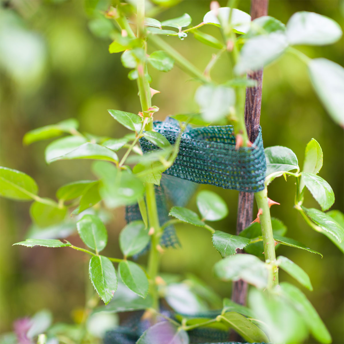 Windhager  Baumanbinder 3x3 m