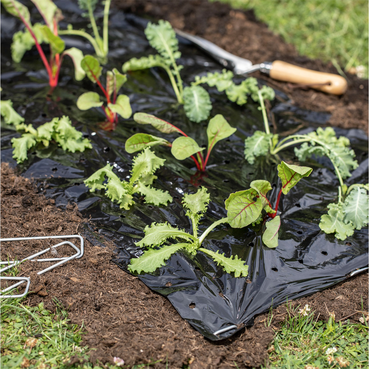 Windhager  Mulch-Folie 10x1,2 m