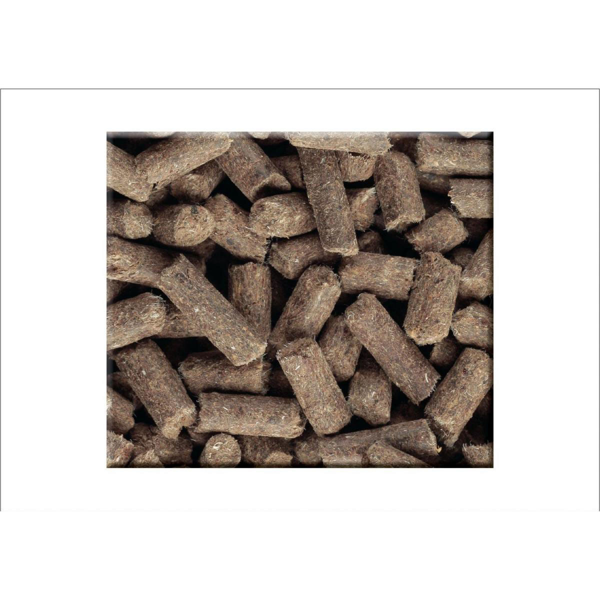 Compo BIO Beeren Langzeit-Dünger mit Schafwolle 0,75 L Bild 5