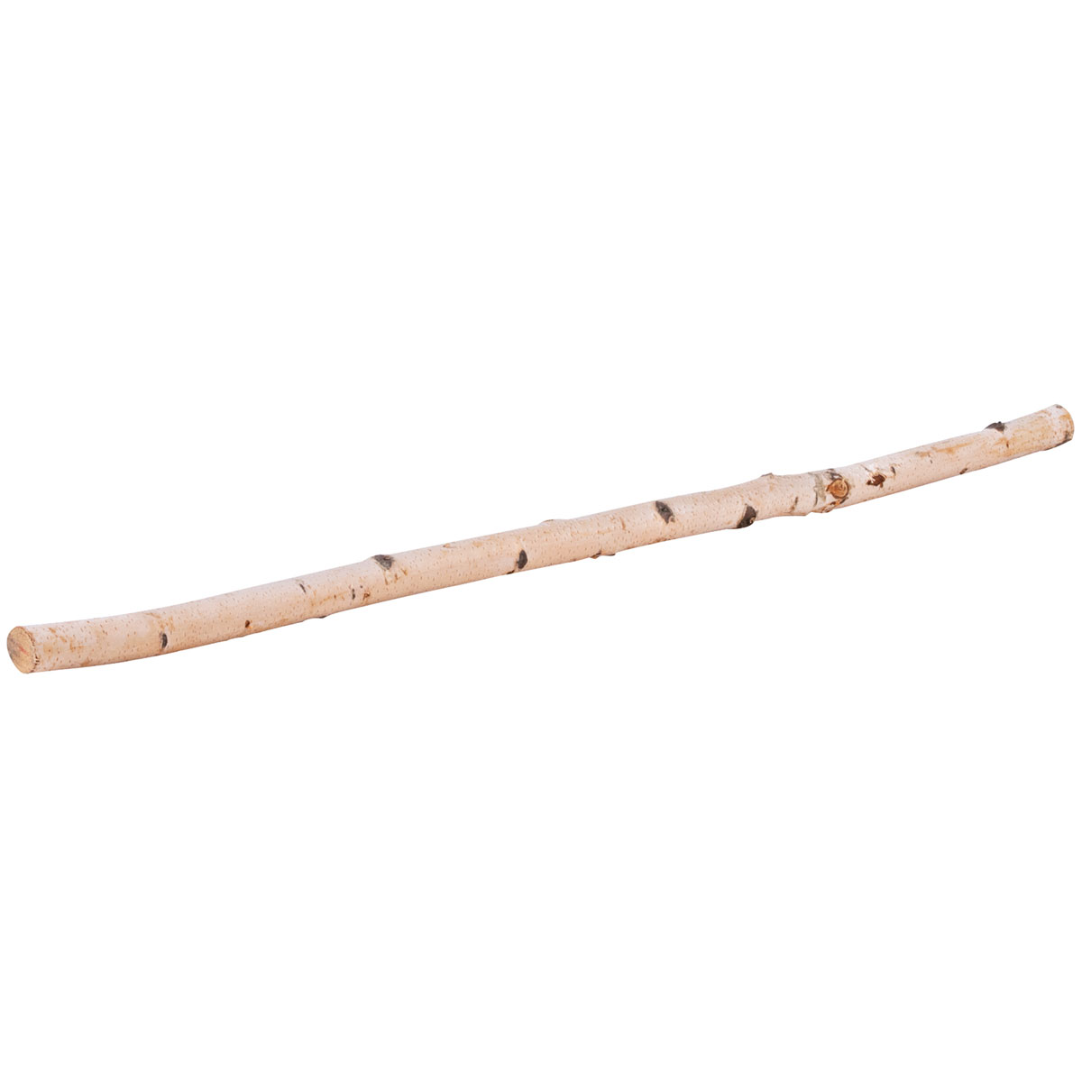 Birkenstamm 90 cm Durchmesser 2-4 cm Bild 1