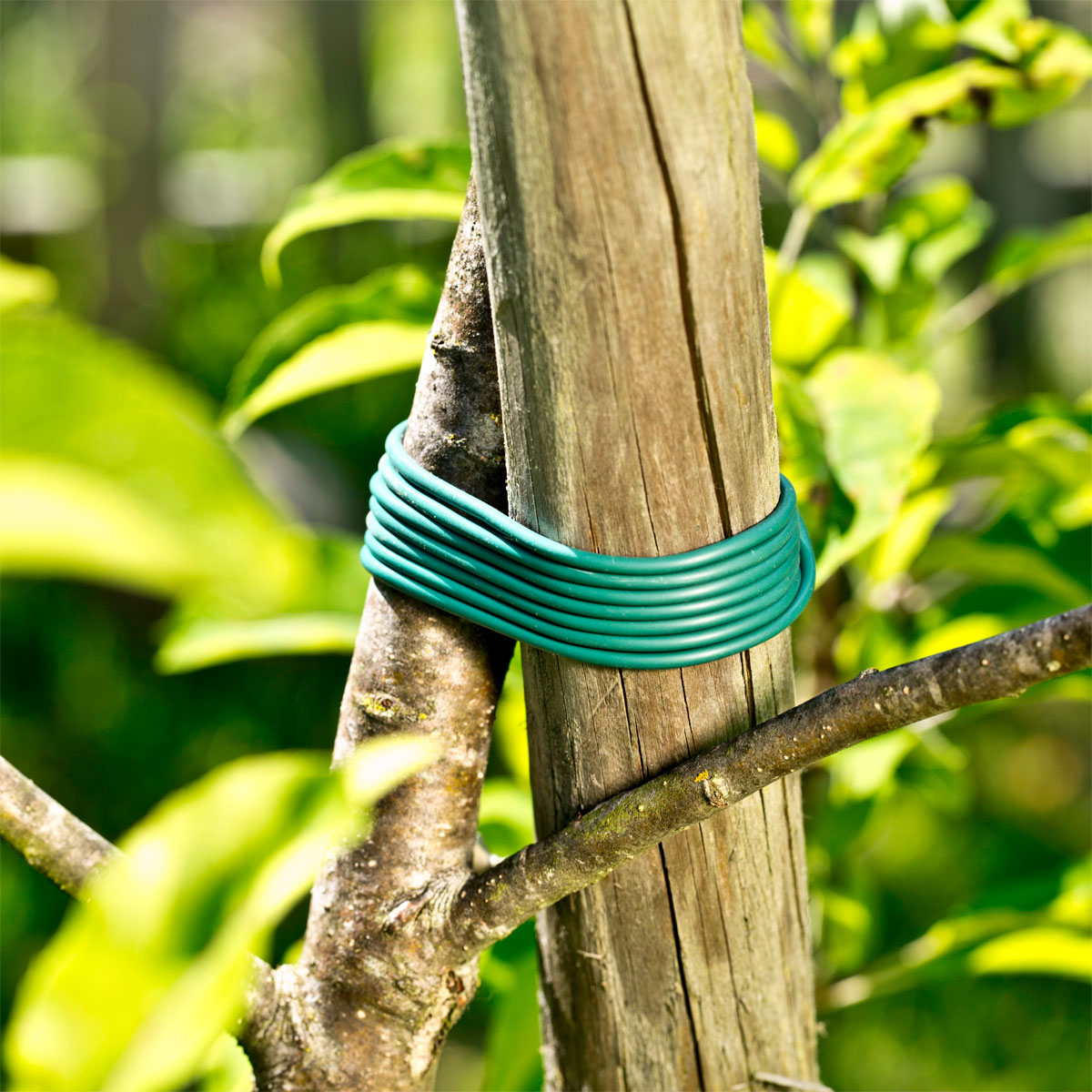 Windhager Kunststoffschnurmitwachsend 23m Bild 3