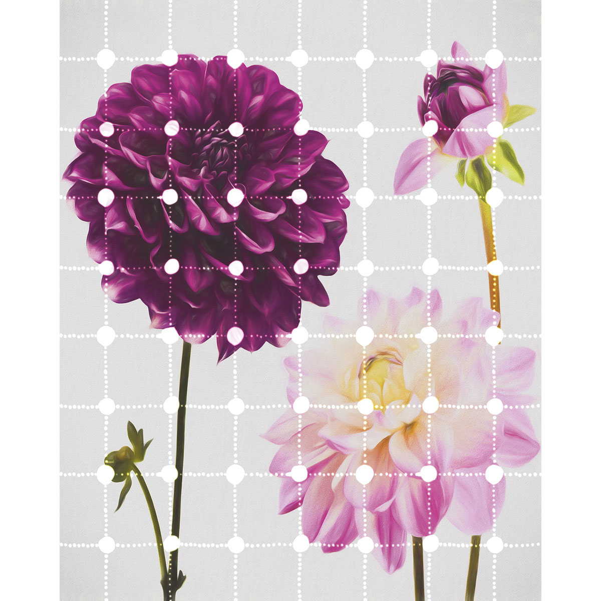 Komar  Vlies Fototapete Flowers & Dots 200x250 cm Bild 2