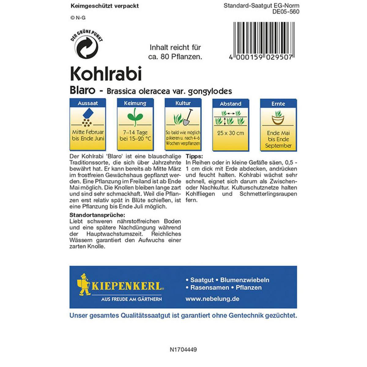 Kiepenkerl Kohlrabi Blaro blau Profi-Line Bild 2