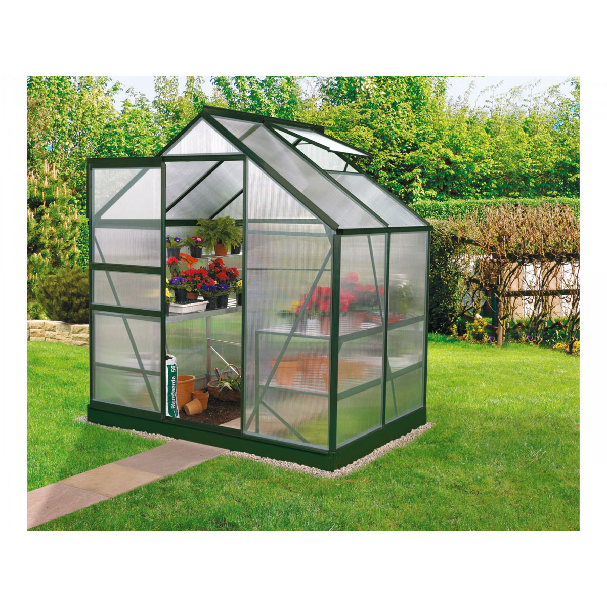 Vitavia Gewächshaus Venus 2500 HKP 2,55m² 6 mm Hohlkammerplatte grün Bild 1