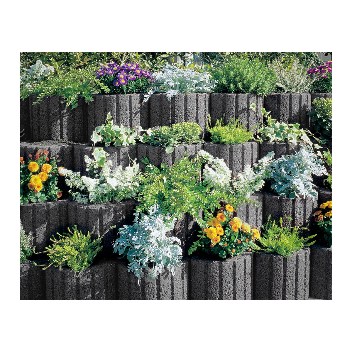 Mini-Pflanzring grau 20 x 30 cm Bild 3