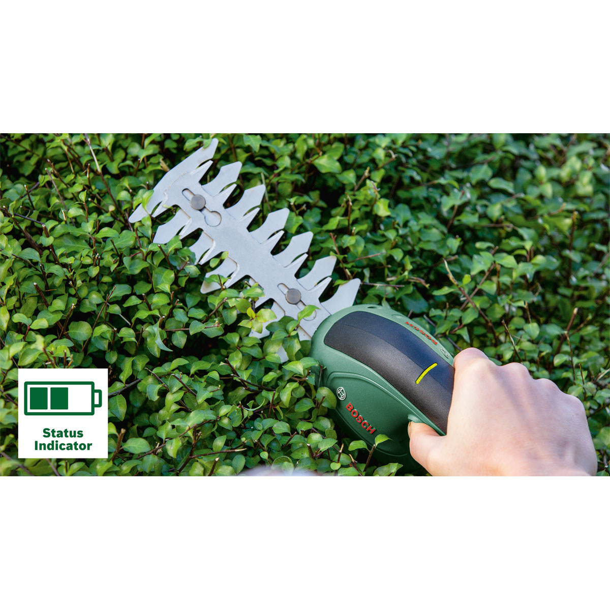 Bosch  Grasschermesser Isio Bild 2