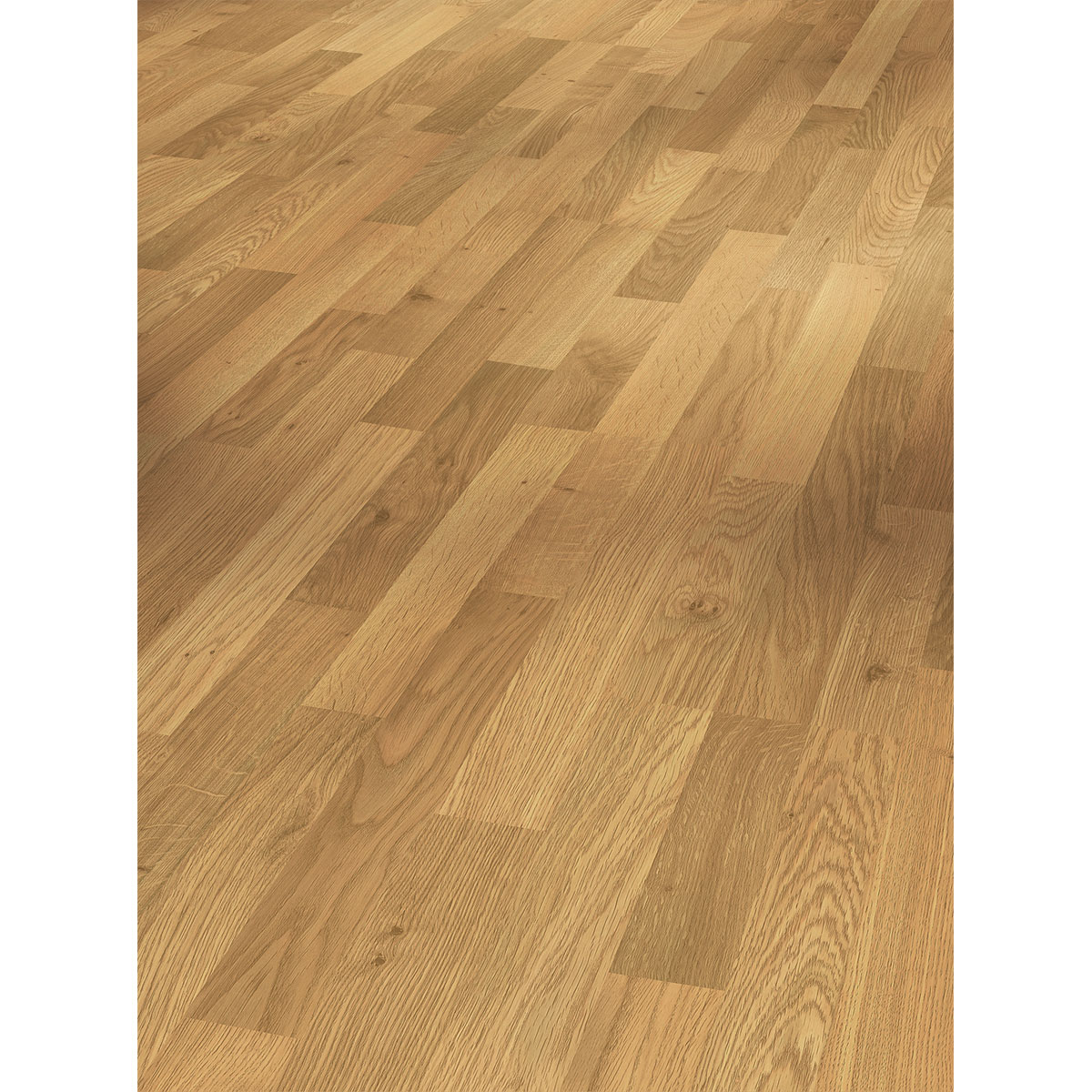 Parador Laminat Basic 400 Eiche Natur