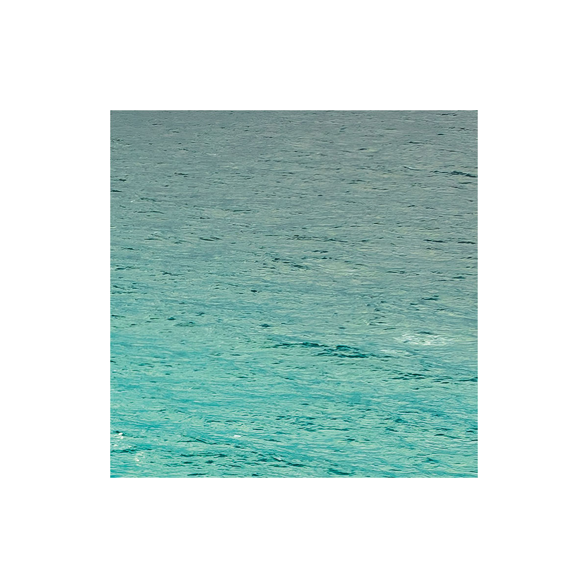 Komar  Vlies Fototapete Garten der Versuchung 450x280 cm Bild 6