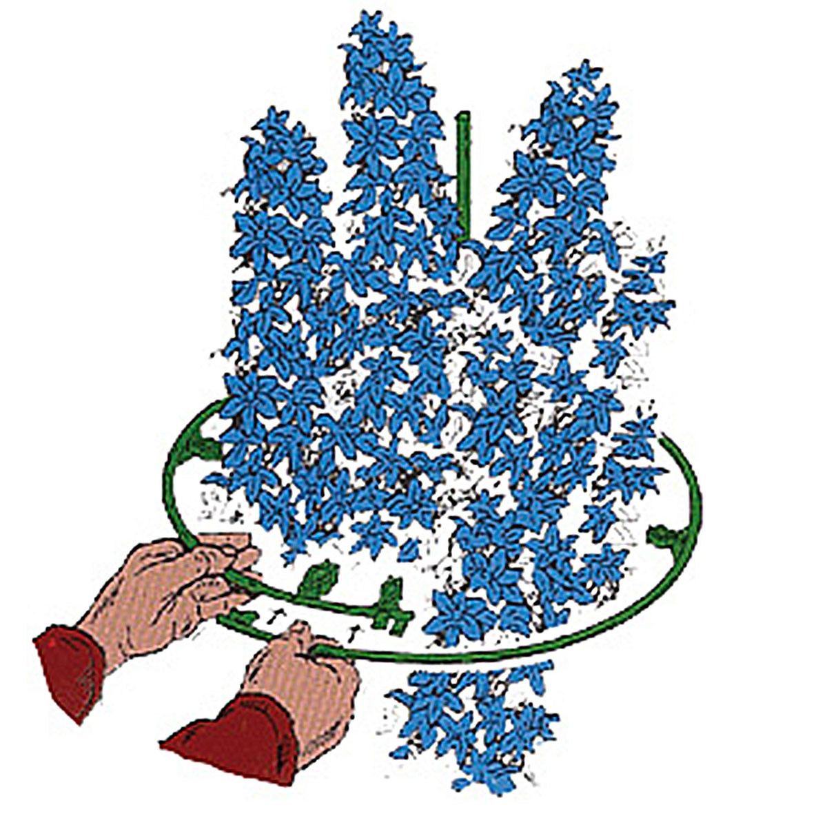 Pflanzenstütze verstellbar 35 - 50 cm Bild 1